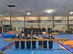 Gymnastics Team 